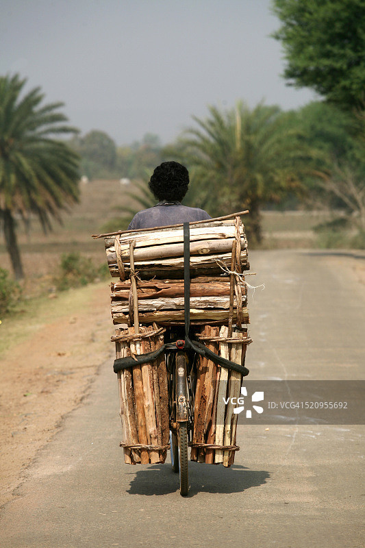 在印度贾坎德邦骑自行车运木头的男人图片素材