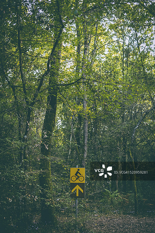 森林中的自行车道标志图片素材