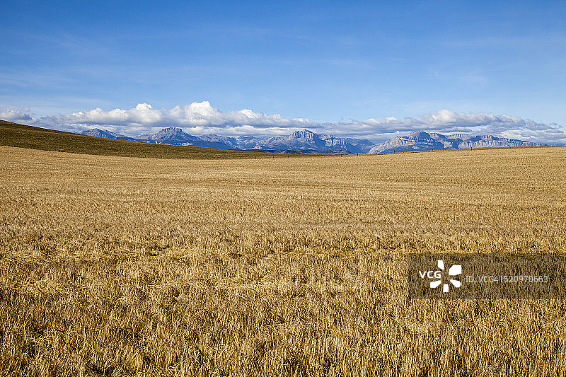 金色麦田与山脉背景图片素材