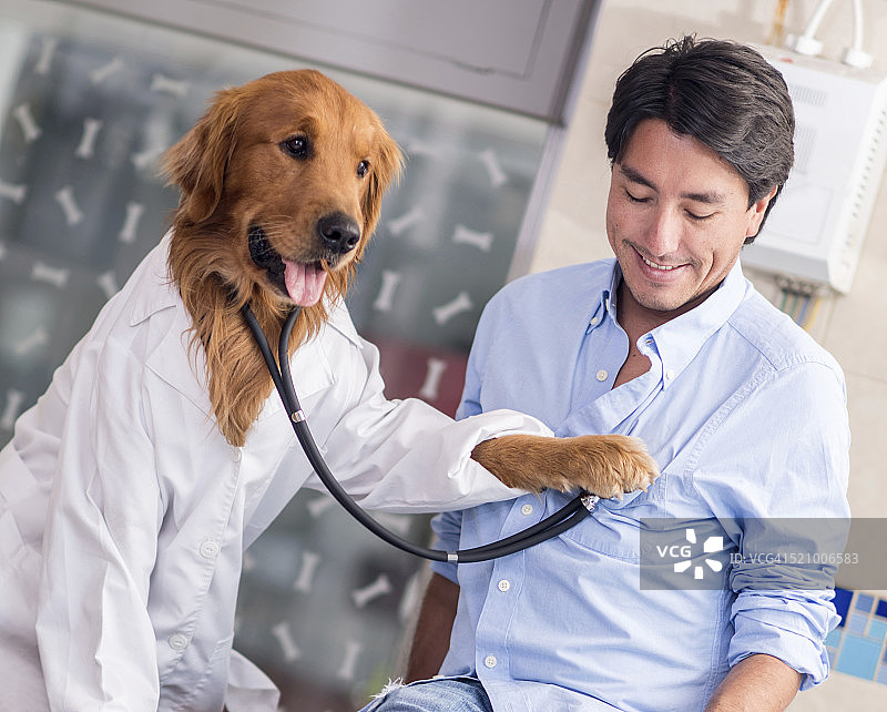 在兽医诊所的狗图片素材