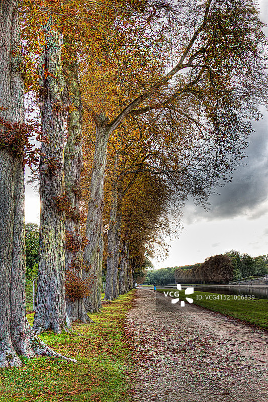 秋天的颜色图片素材