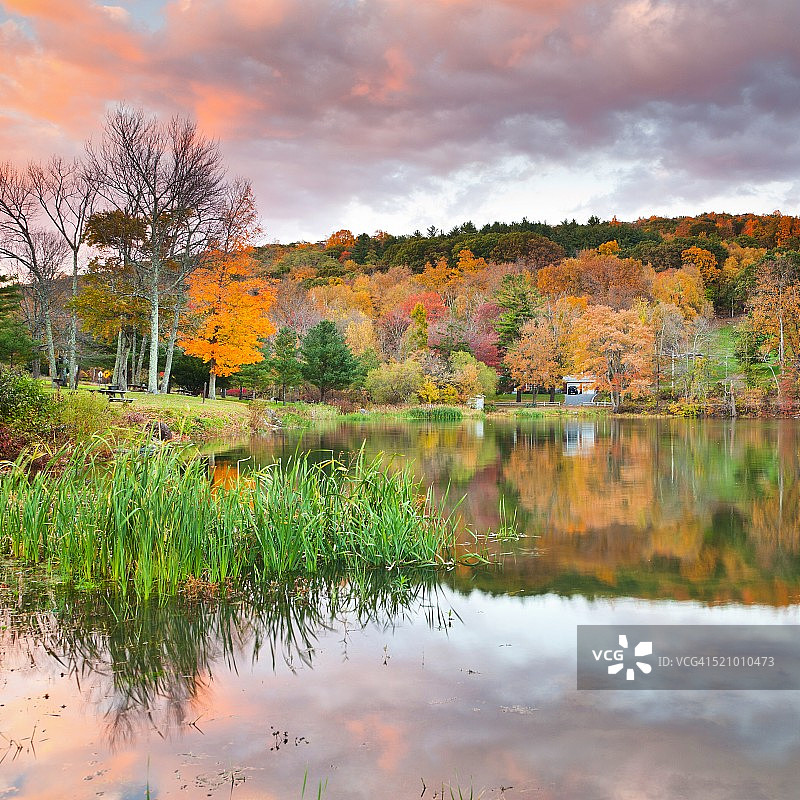 秋天的颜色图片素材