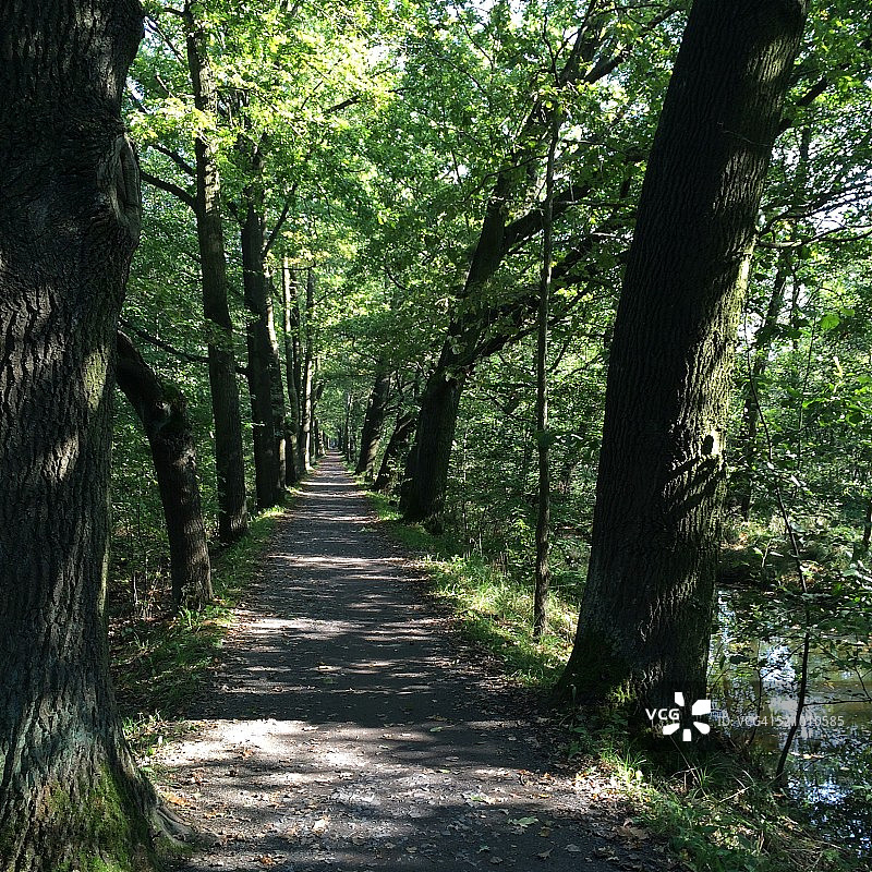 当地的标志性建筑图片素材