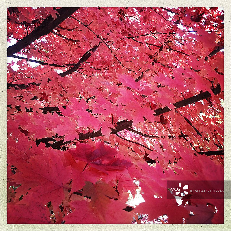 秋天的颜色图片素材