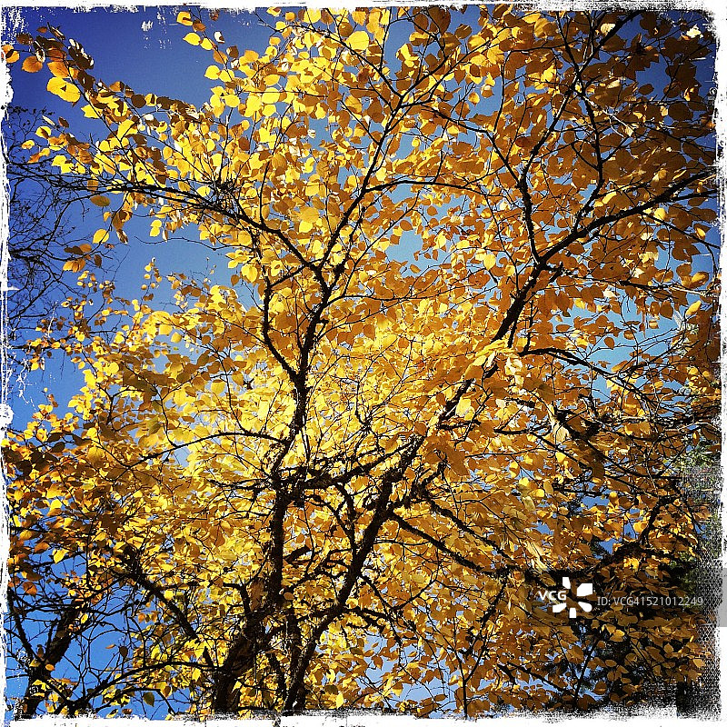 秋天的颜色图片素材