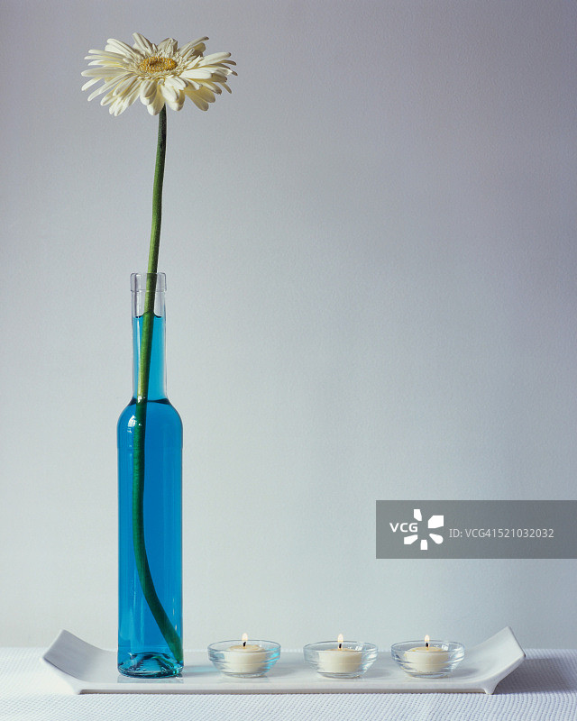 白色非洲菊和茶蜡烛图片素材