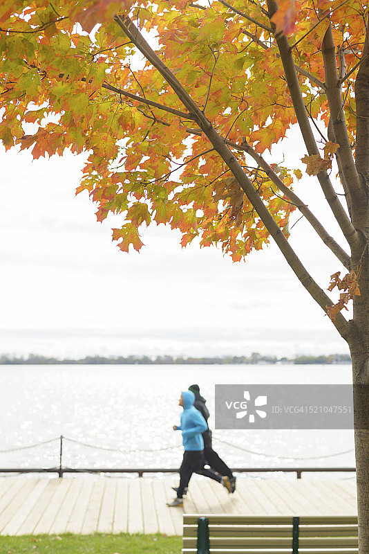 在秋季/秋天的城市公园里跑步，有树木和湖泊图片素材