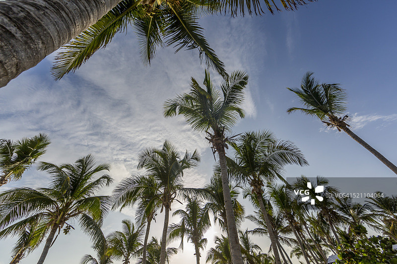 圣马丁海滩图片素材