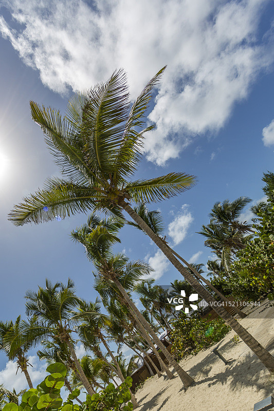 圣马丁海滩图片素材