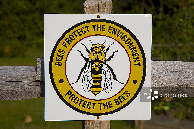 关于蜜蜂的金色和黄色环境标志图片素材
