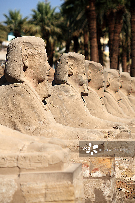 狮身人面像大道图片素材