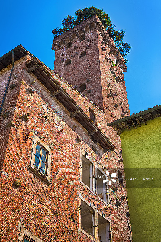 卢卡的绿色塔楼图片素材