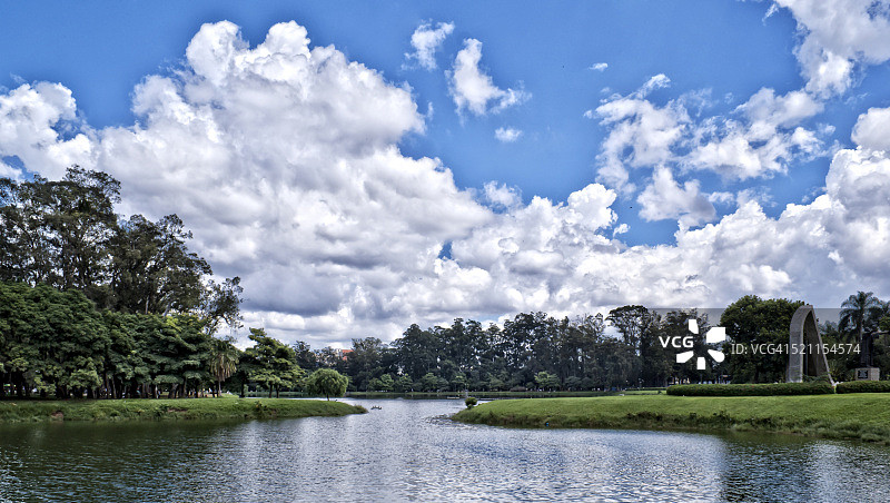 长满青草的湖岸图片素材