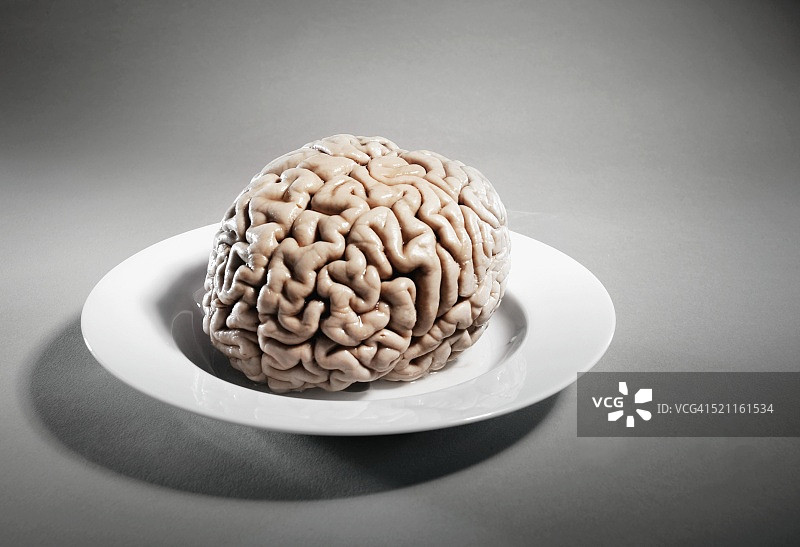盘子上的人脑图片素材