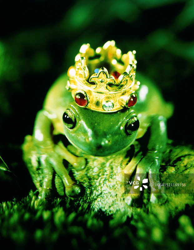青蛙王子图片素材
