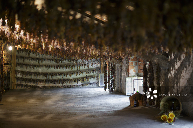 葡萄干图片素材