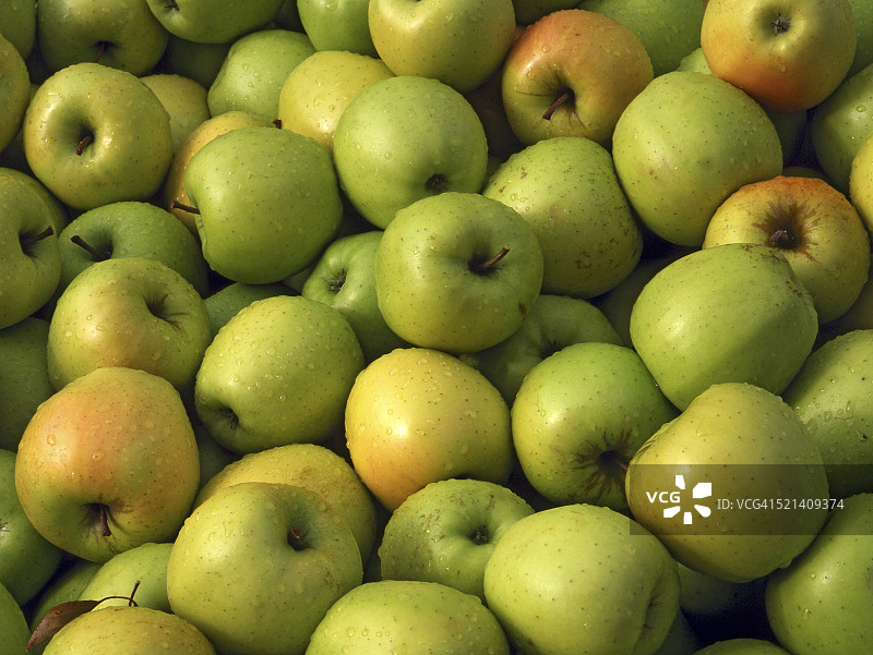 美味的金苹果图片素材