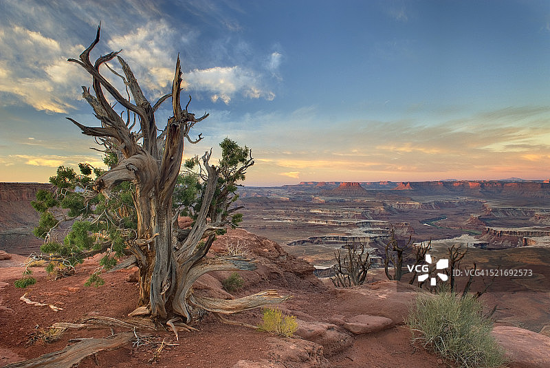 峡谷地国家公园绿河瞭望台图片素材