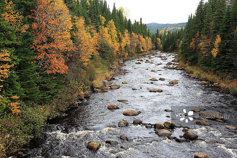蒙莫朗西森林图片素材
