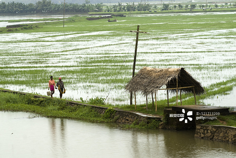 印度喀拉拉邦，曼纳萨拉梅尔帕多姆的季风日回水场景图片素材