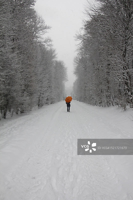 积雪覆盖的小巷图片素材