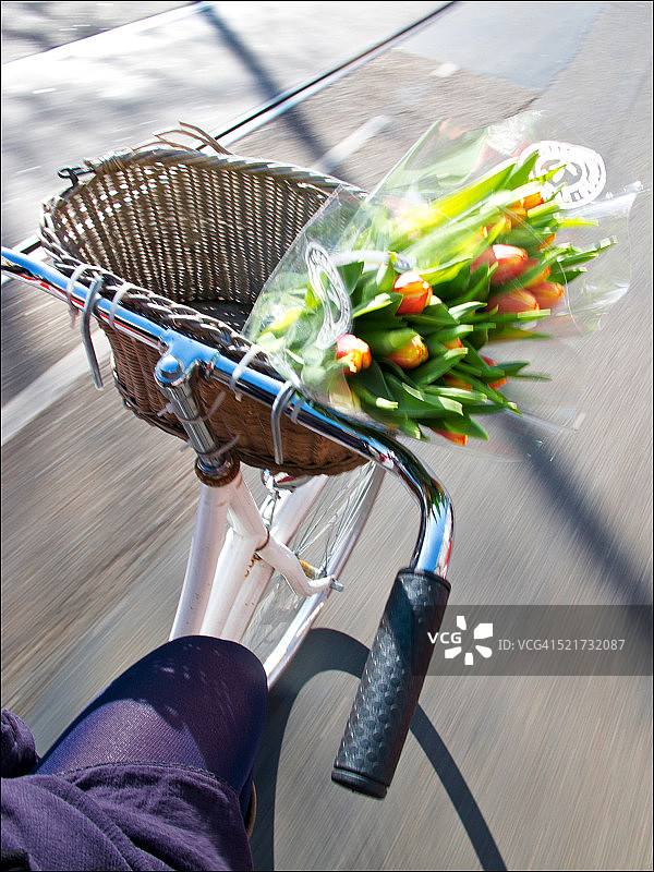 阿姆斯特丹郁金香骑行图片素材