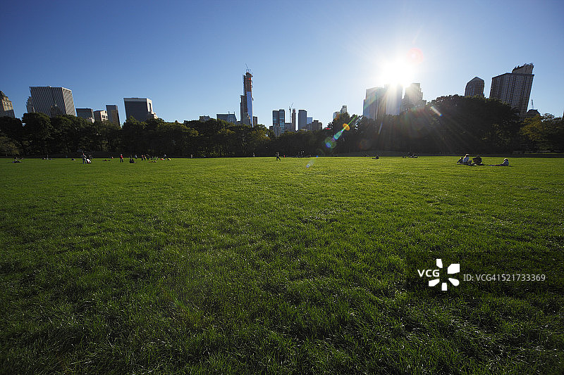 曼哈顿绵羊草地上的日落图片素材
