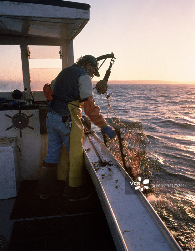 缅因州捕龙虾人图片素材