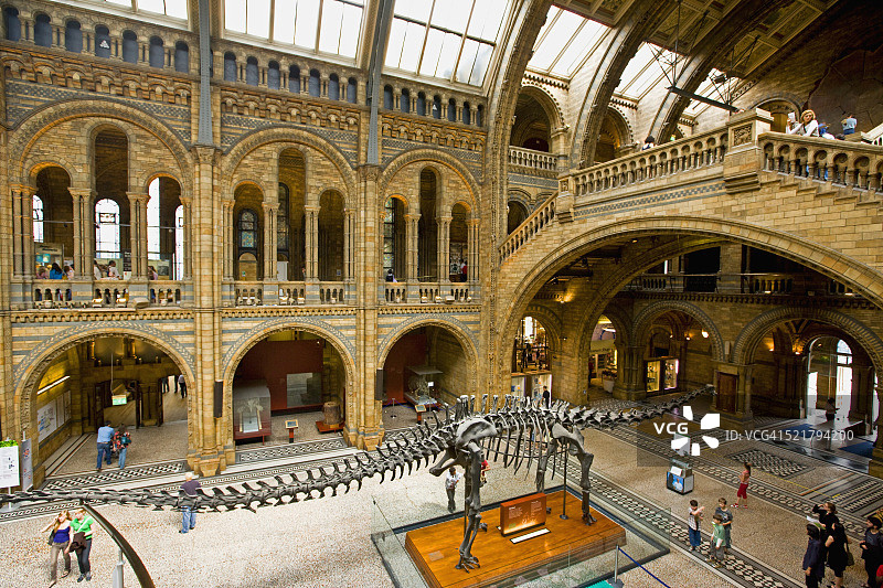 自然历史博物馆内部图片素材