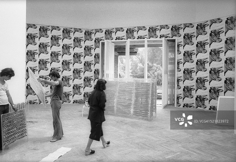 威尼斯双年展上的牛群图片素材