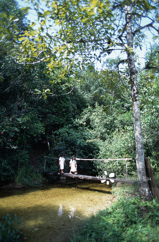 雨林桥上的拉坎登儿童图片素材