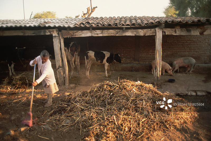 清扫谷仓的女人图片素材