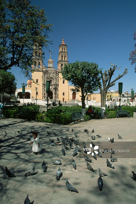 女孩与鸽子图片素材