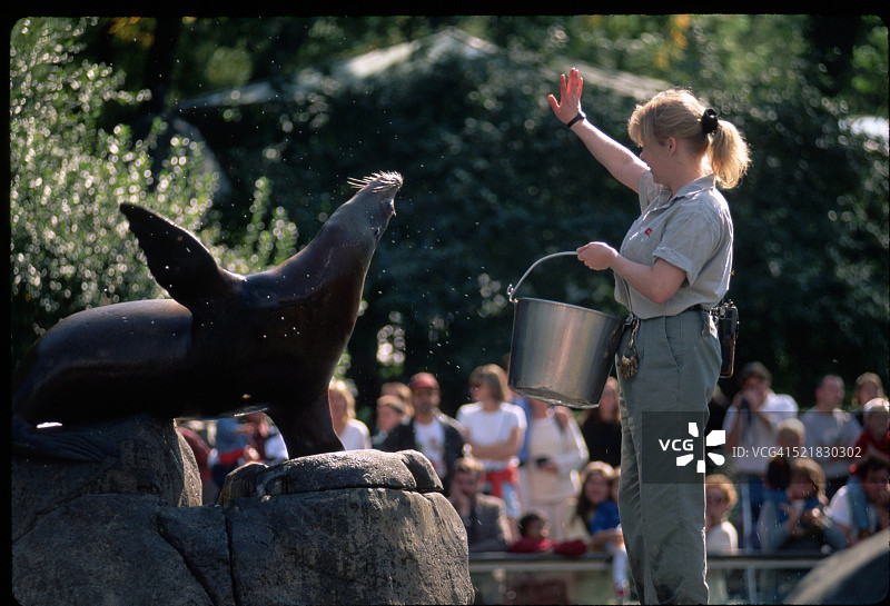 中央公园动物园的海狮表演和驯兽师图片素材