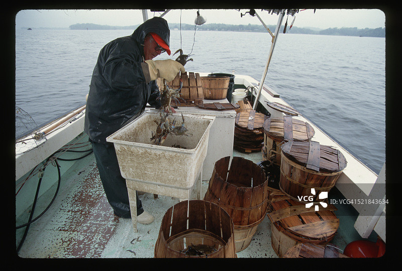 伍迪·福克纳观察螃蟹图片素材