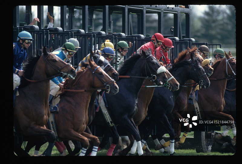 赛马冲出起跑线图片素材