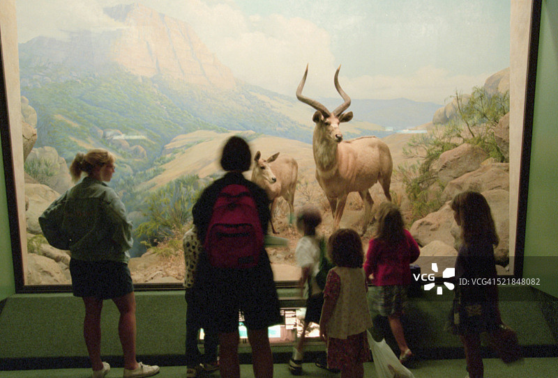 在自然历史博物馆观看尼亚拉展览图片素材