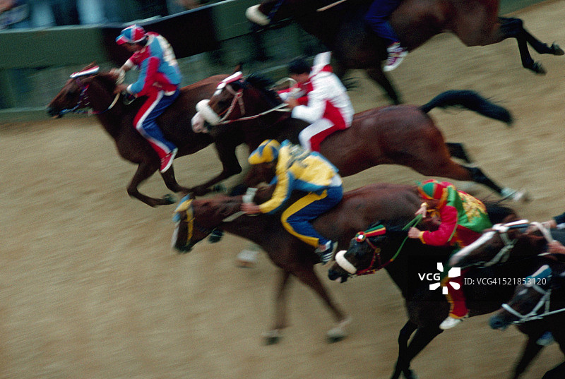锡耶纳赛马节中的赛马图片素材