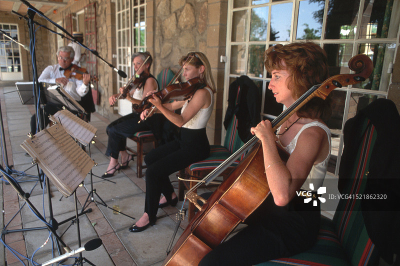在午宴上表演的弦乐四重奏图片素材