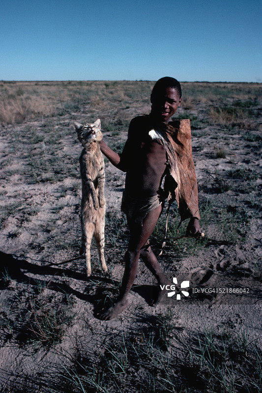 Kgototxe Holding Wildcat图片素材