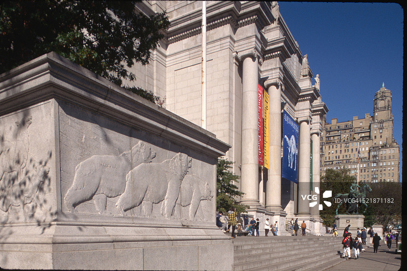 纽约自然历史博物馆图片素材