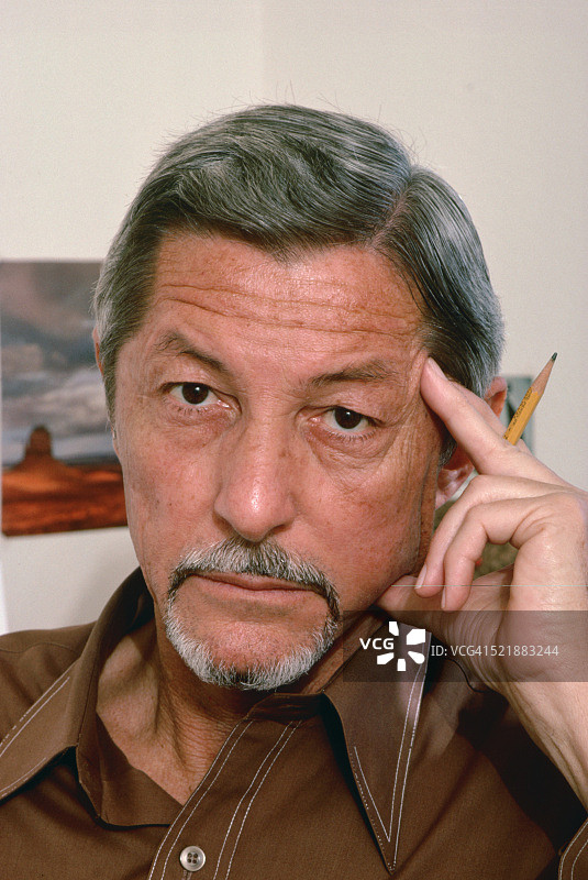 作家埃文·康奈尔图片素材