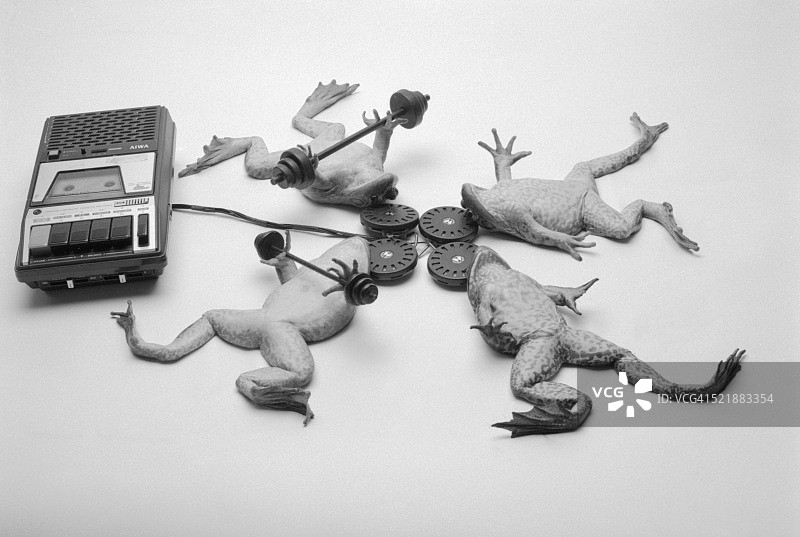 催眠状态下的青蛙图片素材