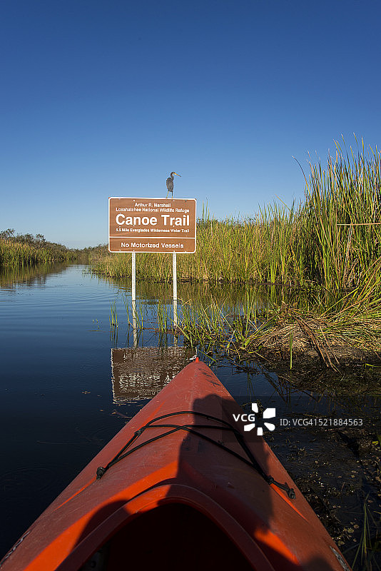 皮划艇和独木舟小径上的鸟图片素材