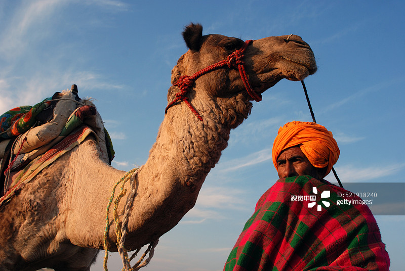 男人和骆驼，印度拉贾斯坦邦斋沙默尔库里库里图片素材