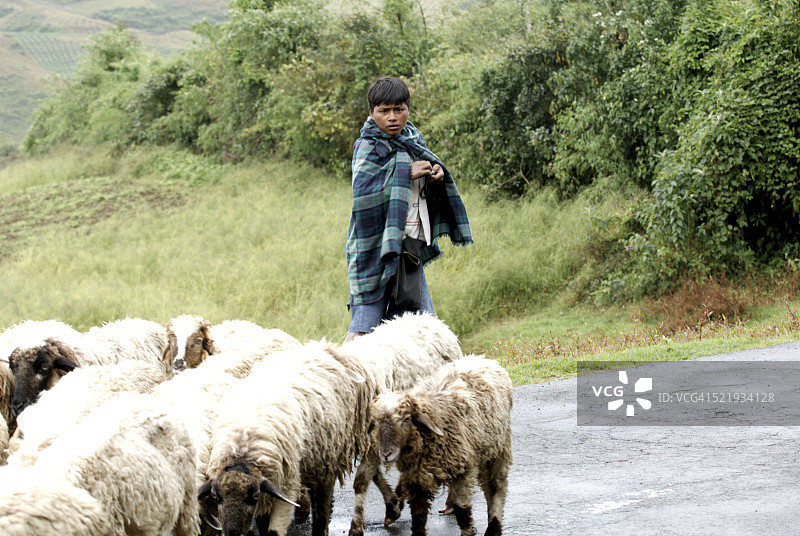 印度梅加拉亚邦西隆卡西族牧羊男孩图片素材