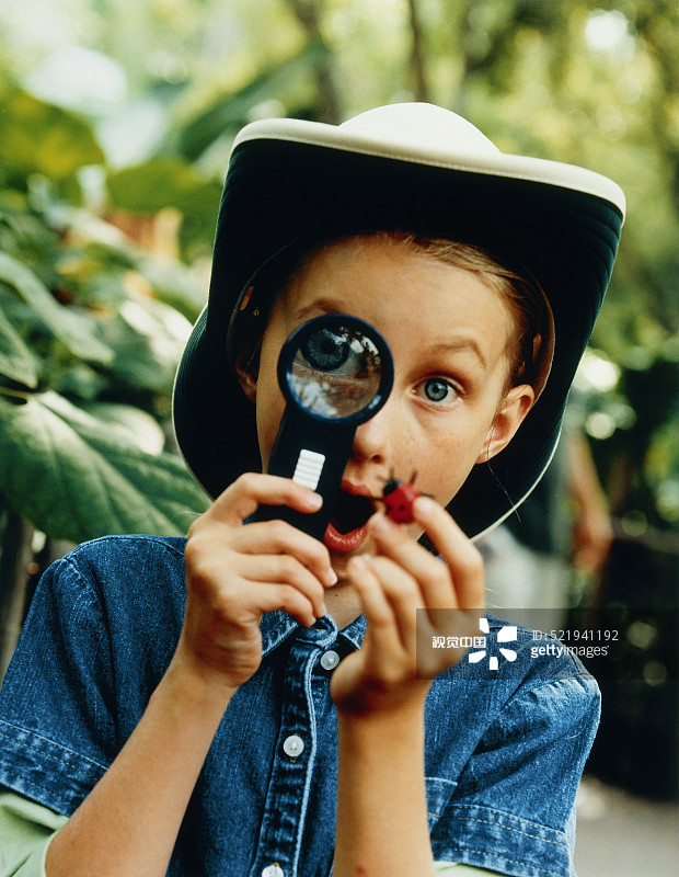 女孩用放大镜仔细观察甲虫图片素材