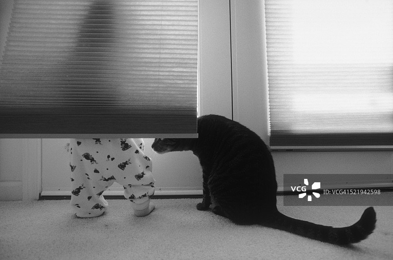 从门外向里看的幼儿图片素材