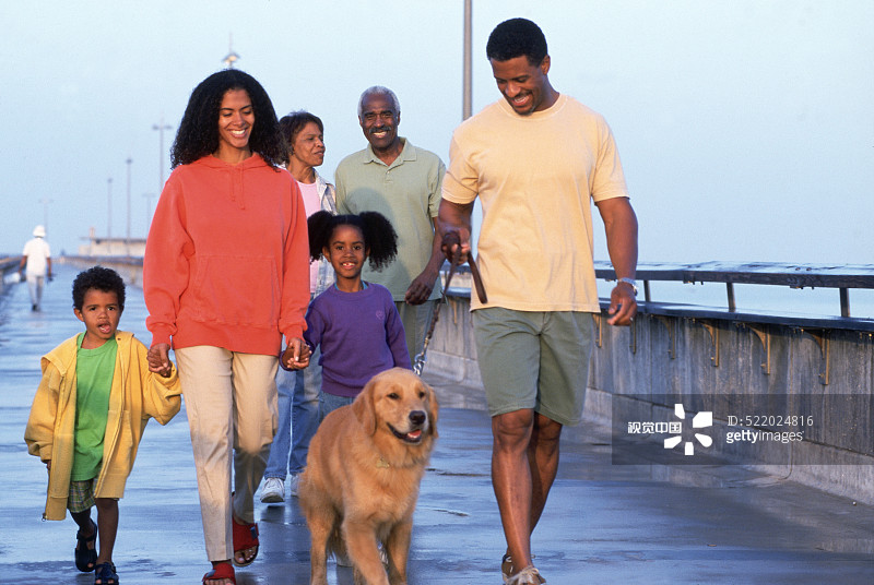 一家人在码头上遛狗图片素材