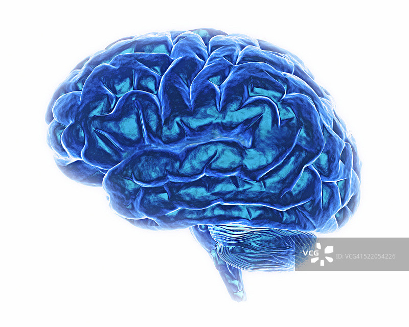 蓝色大脑图片素材